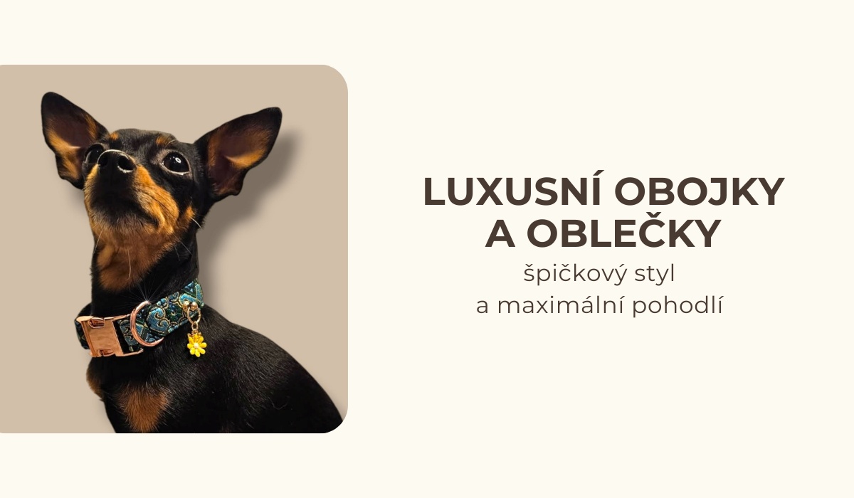Luxusní obojky